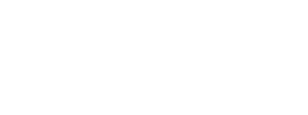 VoipVoice